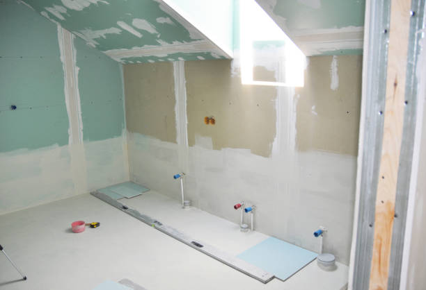 Mold Odor Removal Services in Edwardsville, KS