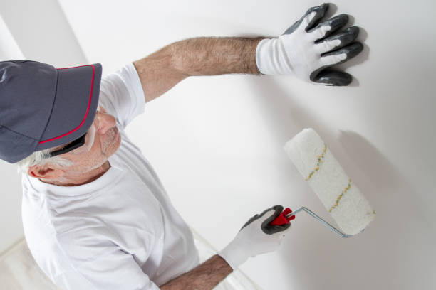 Best Comprehensive Air Testing for Mold Contaminants  in Edwardsville, KS