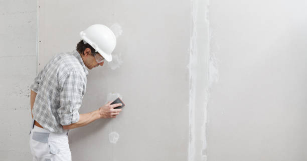 Best Crawl Space Mold Remediation  in Edwardsville, KS