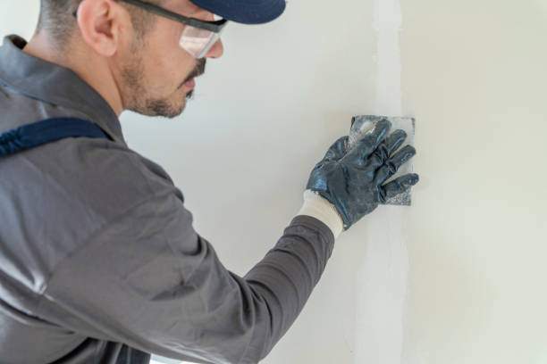 Best Comprehensive Air Testing for Mold Contaminants  in Edwardsville, KS