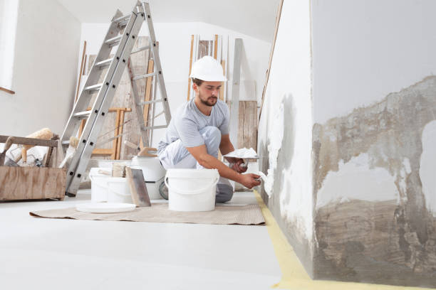 Best Mold Documentation for Insurance Claims  in Edwardsville, KS