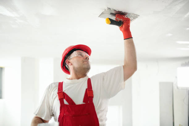 Reliable Edwardsville, KS Mold Removal Solutions