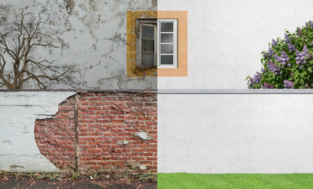 Best Real Estate Mold Inspection  in Edwardsville, KS