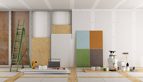 Best Black Mold Removal  in Edwardsville, KS