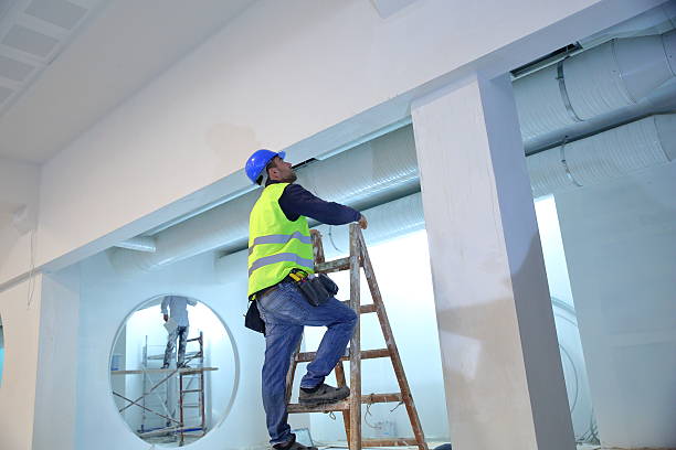 Best Attic Mold Removal  in Edwardsville, KS