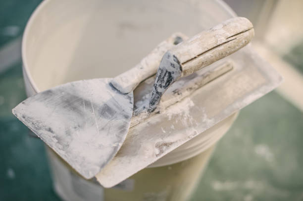 Best Attic Mold Removal  in Edwardsville, KS