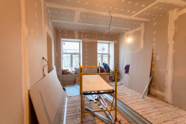  Edwardsville, KS Mold Removal Pros