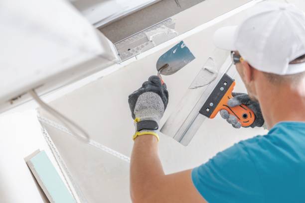 Best Post-Construction Mold Inspection  in Edwardsville, KS